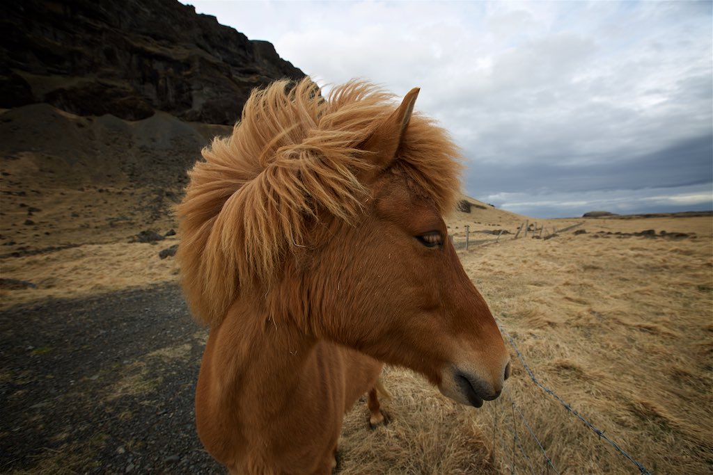 Traversing Icelands Reynisfjara, Skaftafell and Hvannadalshnúkur  3